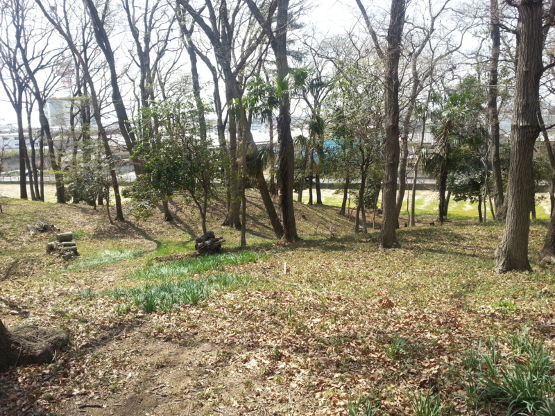 f:id:massneko:20140402110007j:plain