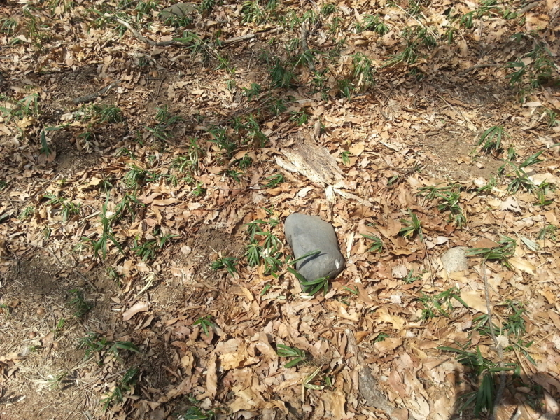 f:id:massneko:20140402110938j:plain