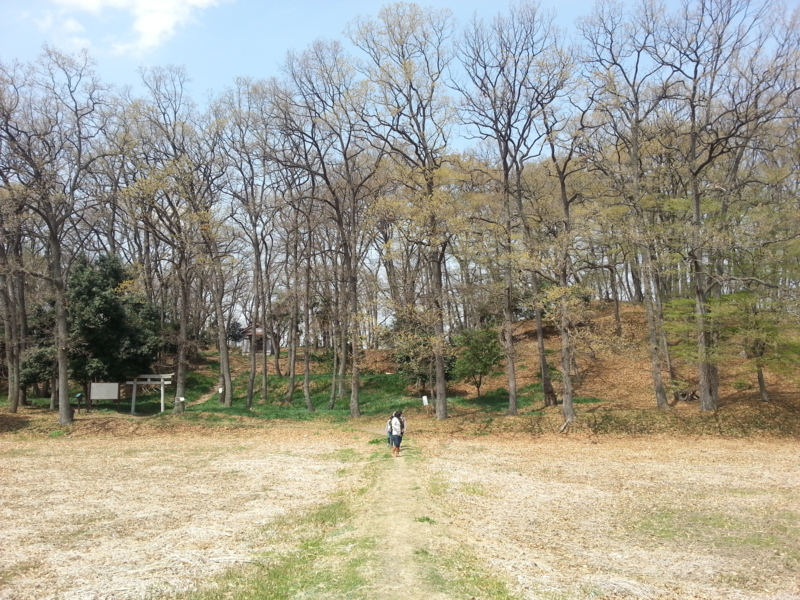 f:id:massneko:20140402111745j:plain