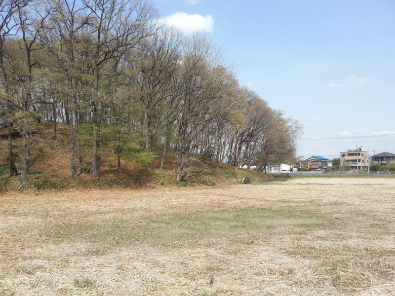 f:id:massneko:20140402111749j:plain
