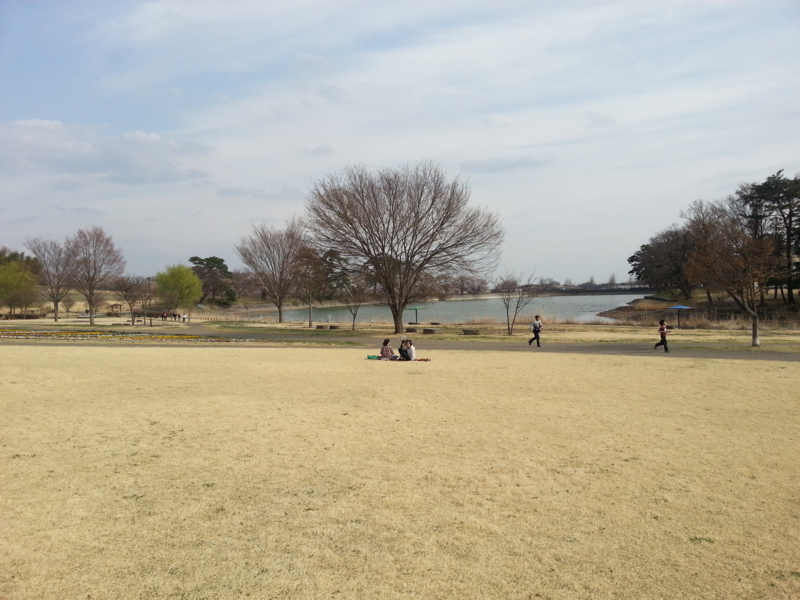 f:id:massneko:20140402144249j:plain f:id:massneko:20140402144249j:plain