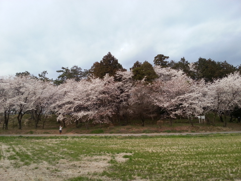 f:id:massneko:20140402173815j:plain f:id:massneko:20140402173815j:plain