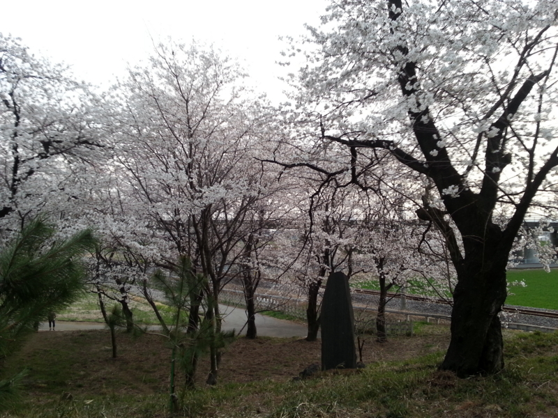 f:id:massneko:20140402173952j:plain