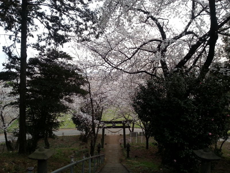 f:id:massneko:20140402174100j:plain