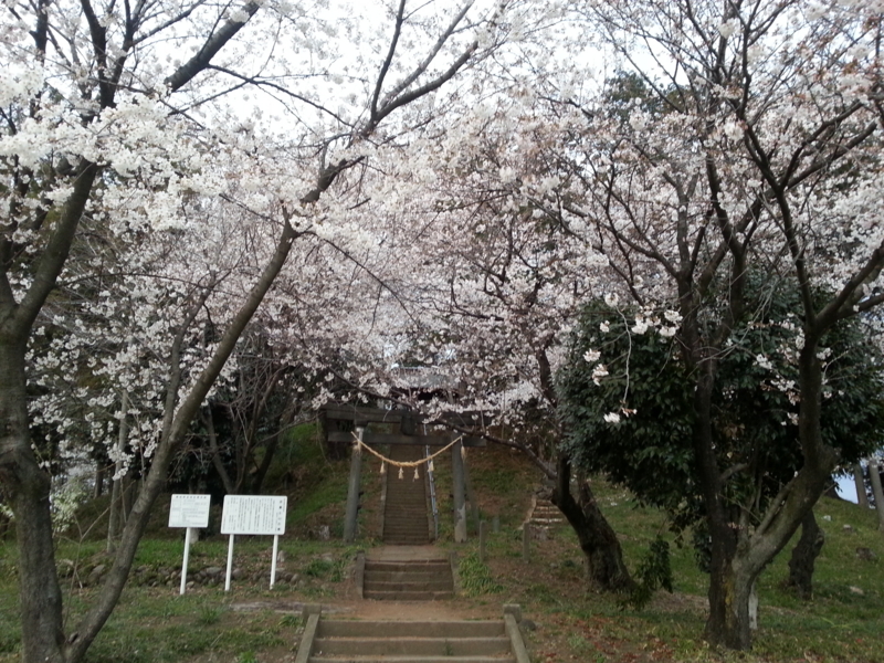 f:id:massneko:20140402174413j:plain