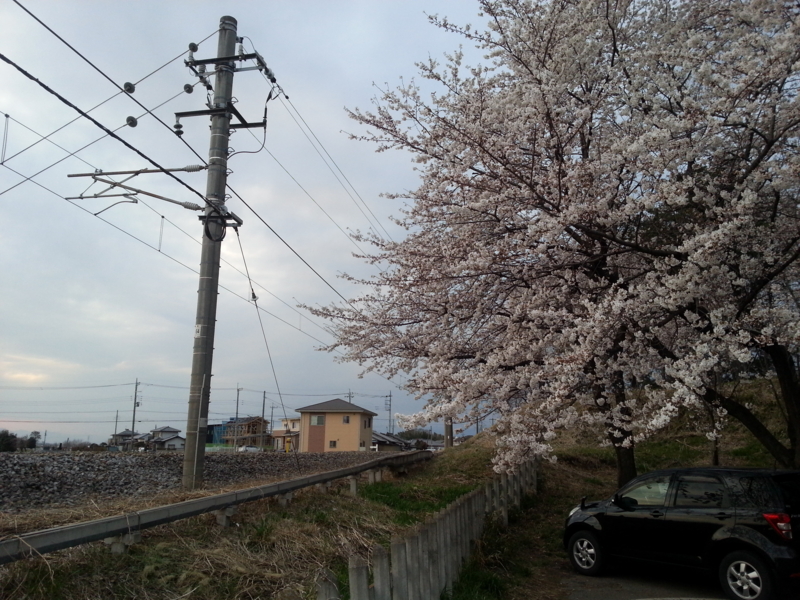 f:id:massneko:20140402174601j:plain