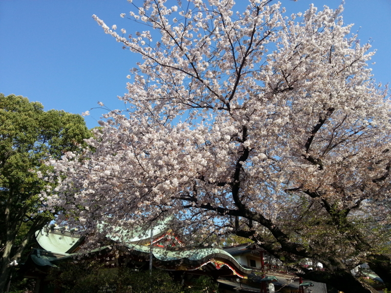 f:id:massneko:20140407081802j:plain