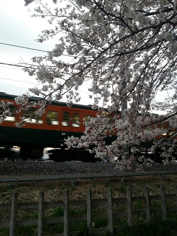 f:id:massneko:20140408083332j:plain