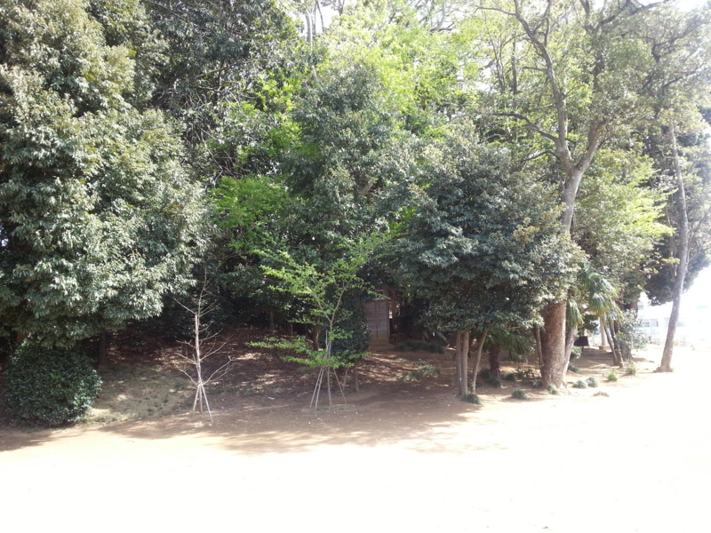 f:id:massneko:20140412135634j:plain