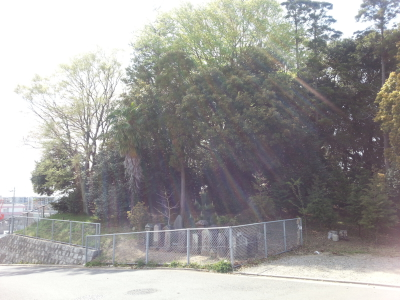 f:id:massneko:20140412135832j:plain