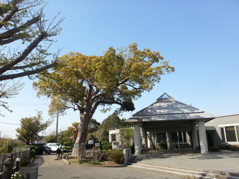 f:id:massneko:20140412150011j:plain