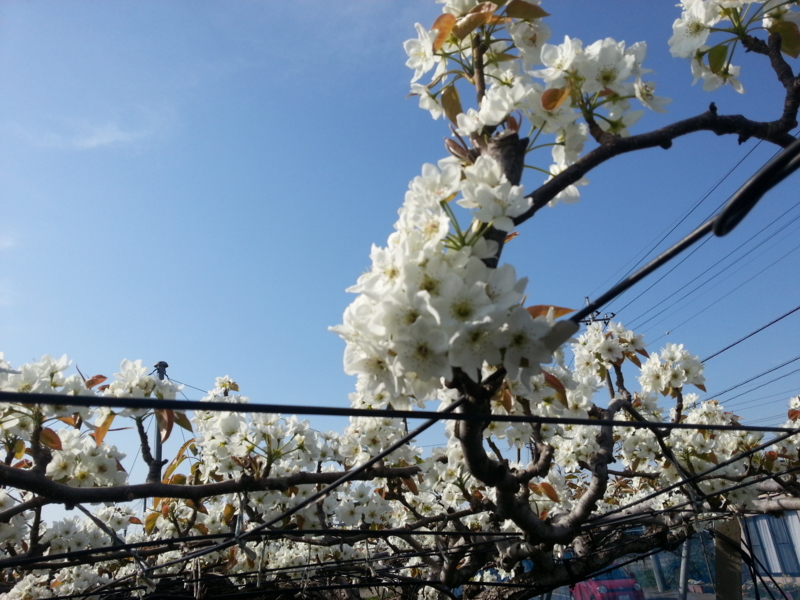 f:id:massneko:20140412150817j:plain