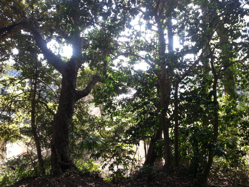 f:id:massneko:20140412151901j:plain