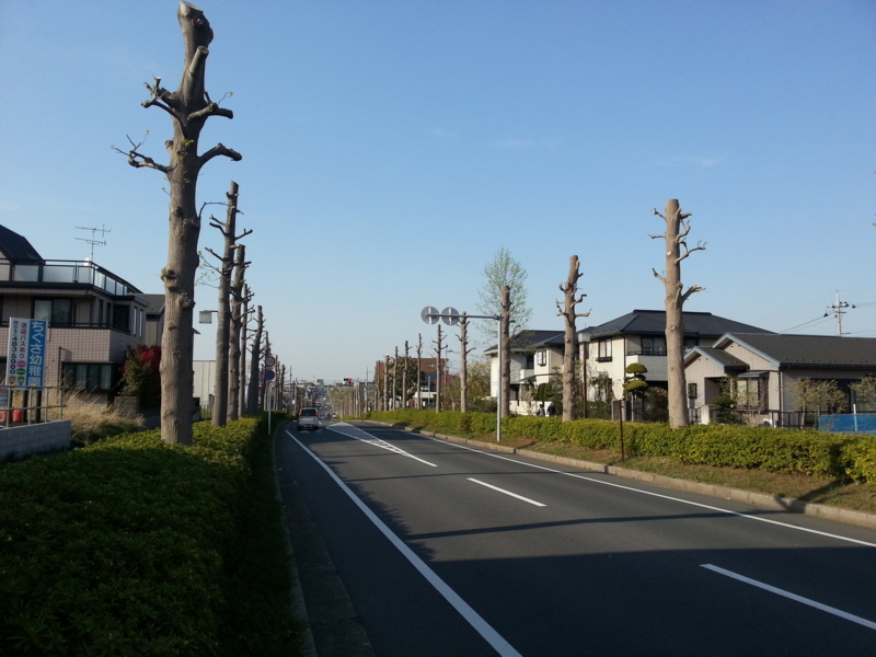 f:id:massneko:20140412155912j:plain f:id:massneko:20140412155912j:plain