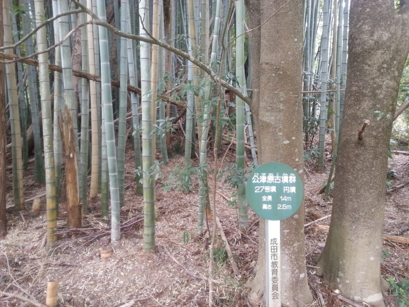 f:id:massneko:20140420145122j:plain