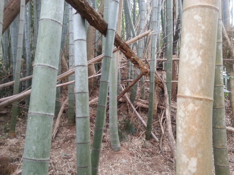 f:id:massneko:20140420145140j:plain