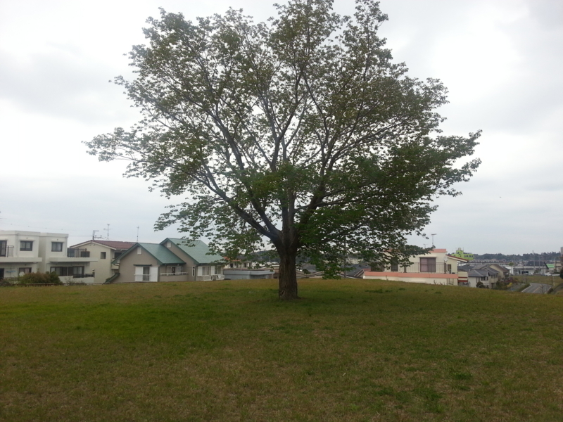 f:id:massneko:20140420151340j:plain