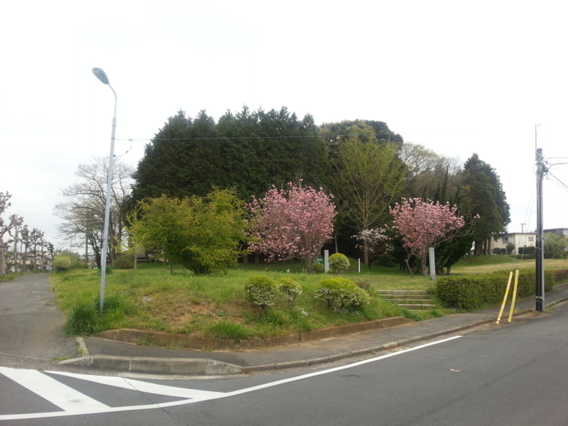 f:id:massneko:20140420152844j:plain f:id:massneko:20140420152844j:plain