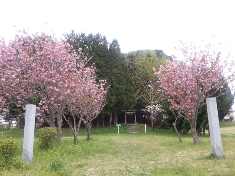 f:id:massneko:20140420152906j:plain f:id:massneko:20140420152906j:plain