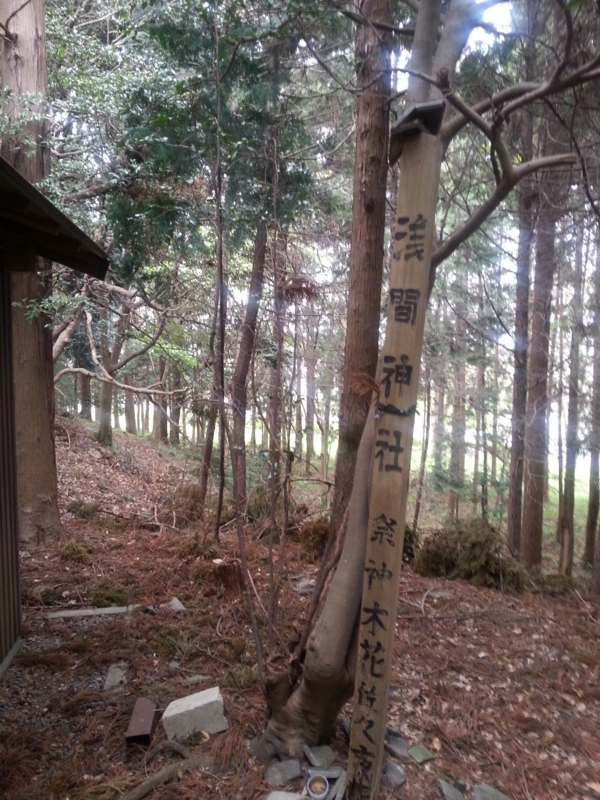 f:id:massneko:20140420153150j:plain f:id:massneko:20140420153150j:plain
