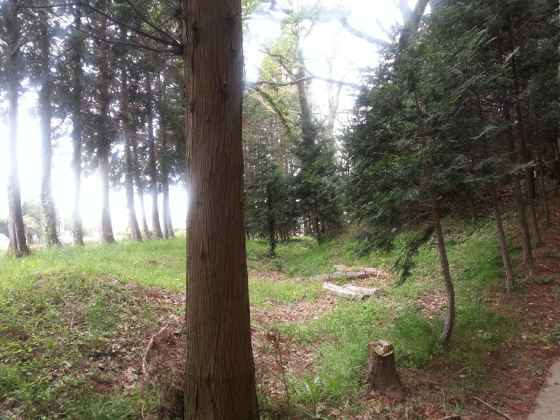 f:id:massneko:20140420153233j:plain f:id:massneko:20140420153233j:plain