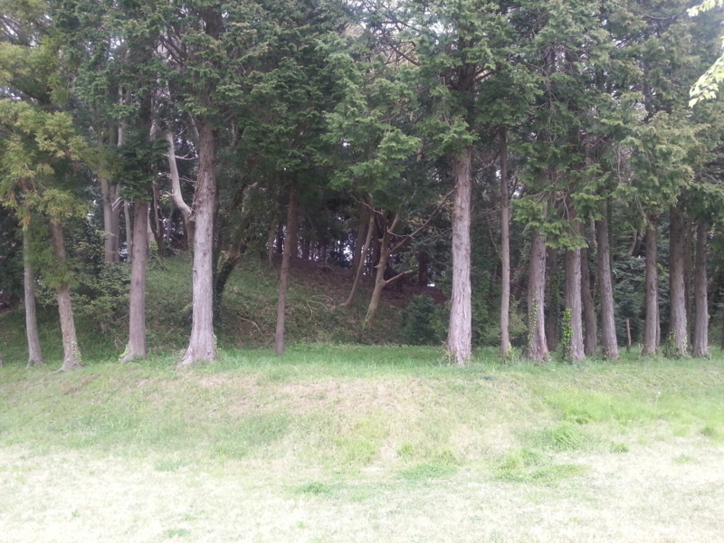 f:id:massneko:20140420153404j:plain f:id:massneko:20140420153404j:plain