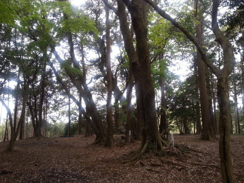 f:id:massneko:20140420161055j:plain f:id:massneko:20140420161055j:plain