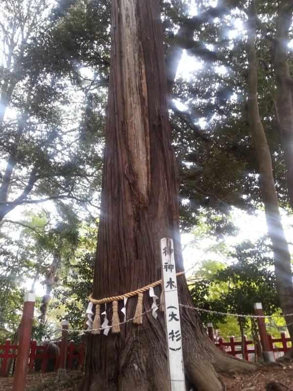 f:id:massneko:20140420161122j:plain f:id:massneko:20140420161122j:plain