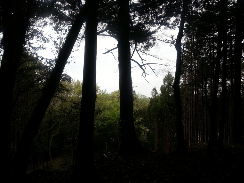 f:id:massneko:20140420161208j:plain f:id:massneko:20140420161208j:plain