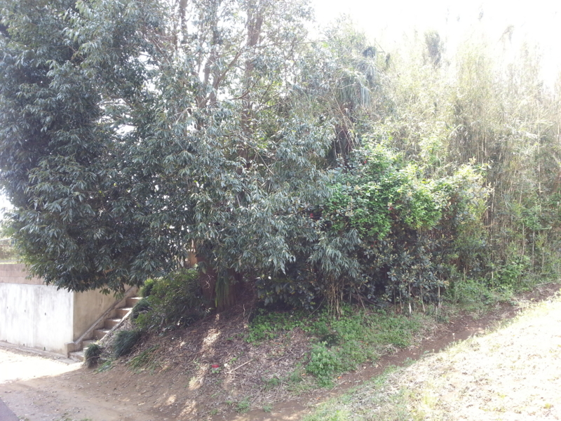 f:id:massneko:20140426114115j:plain f:id:massneko:20140426114115j:plain