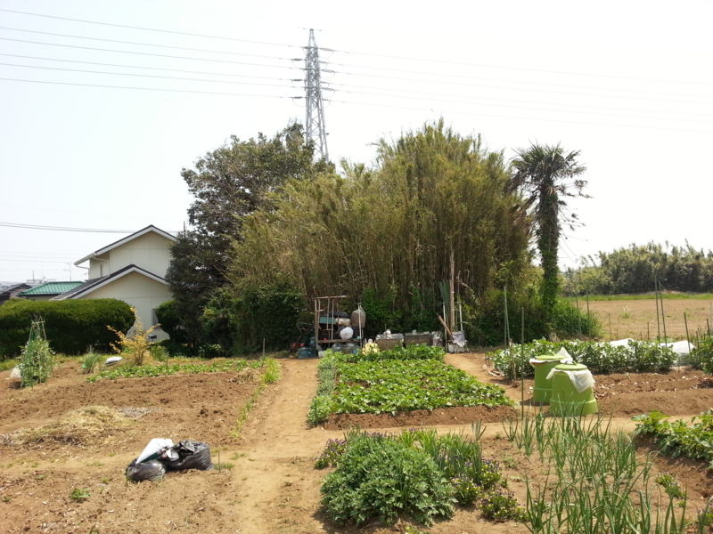 f:id:massneko:20140426114201j:plain f:id:massneko:20140426114201j:plain