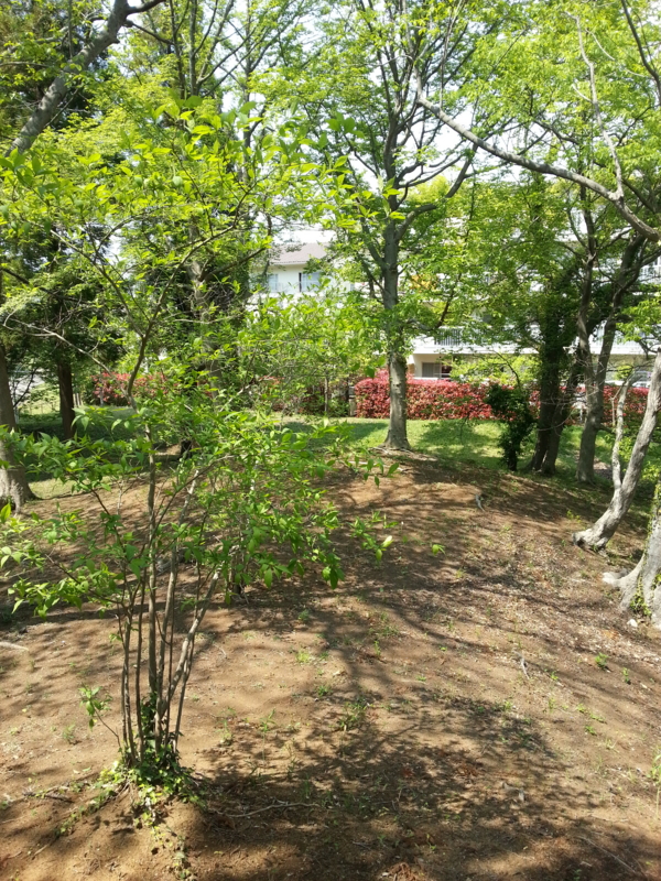 f:id:massneko:20140426122915j:plain