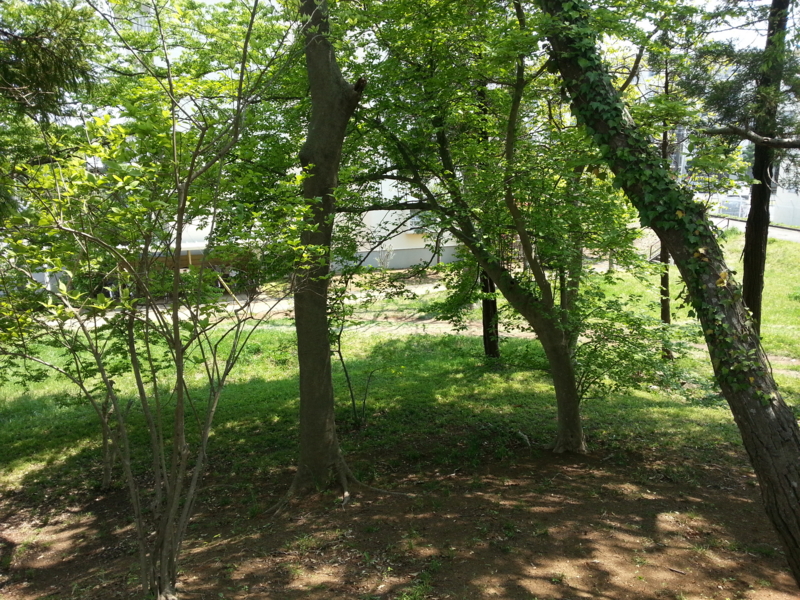 f:id:massneko:20140426122921j:plain