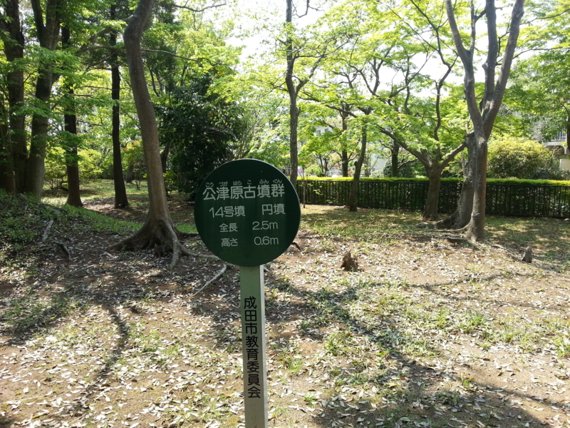 f:id:massneko:20140426123039j:plain