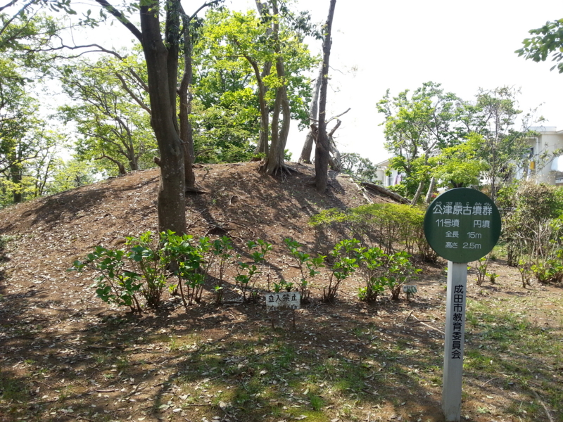 f:id:massneko:20140426123323j:plain