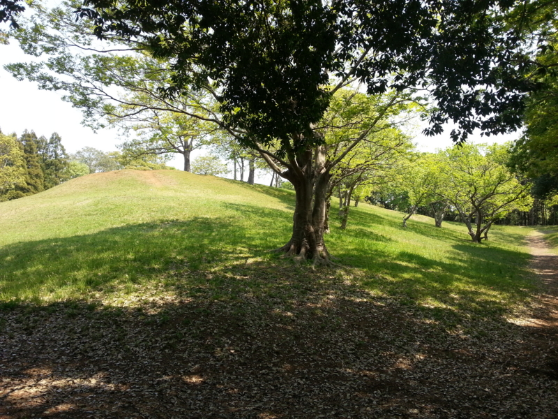 f:id:massneko:20140426123743j:plain