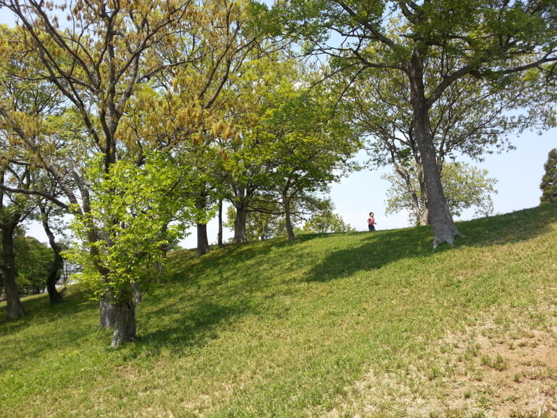 f:id:massneko:20140426123900j:plain