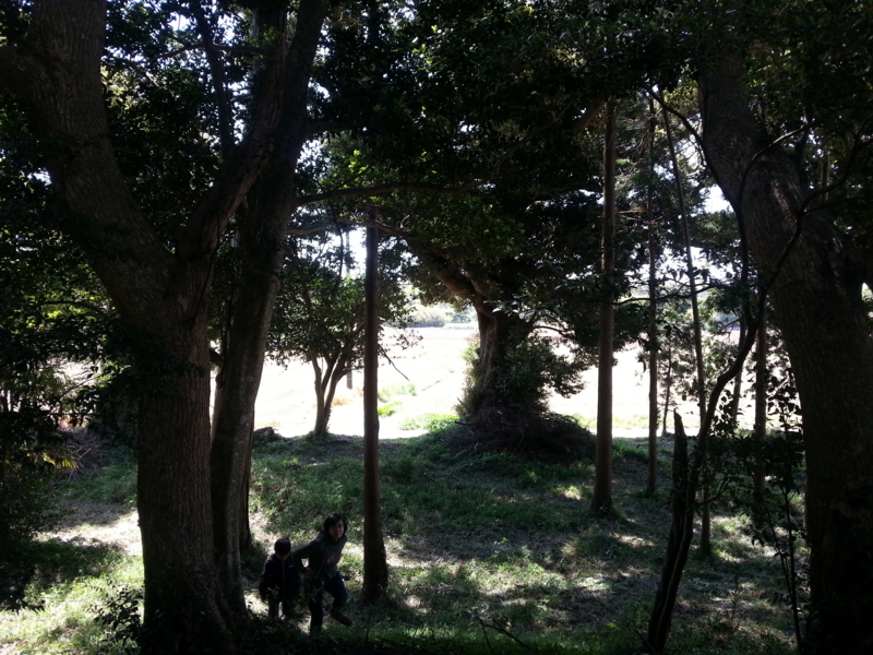 f:id:massneko:20140427113527j:plain