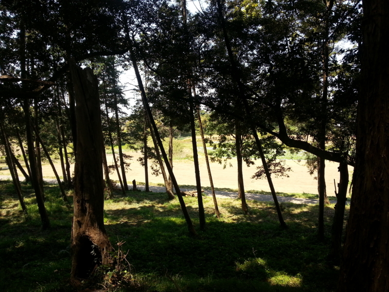 f:id:massneko:20140427113709j:plain