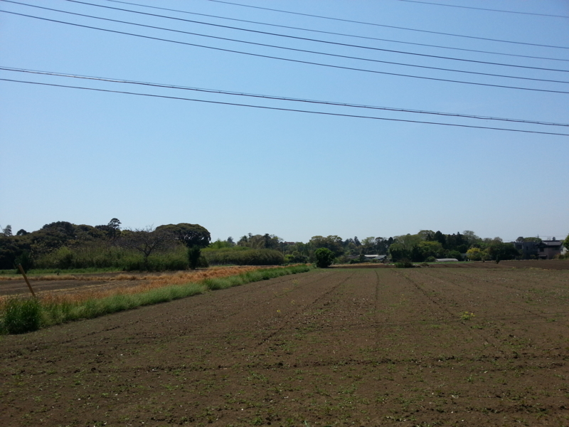 f:id:massneko:20140427113956j:plain