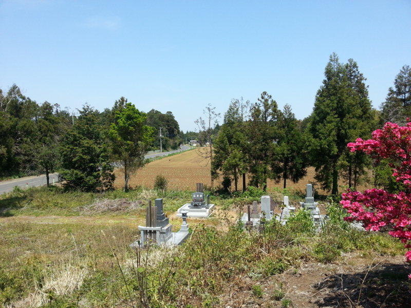 f:id:massneko:20140427114601j:plain