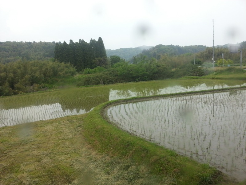 f:id:massneko:20140505130129j:plain f:id:massneko:20140505130129j:plain