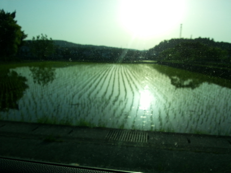 f:id:massneko:20140510172225j:plain f:id:massneko:20140510172225j:plain