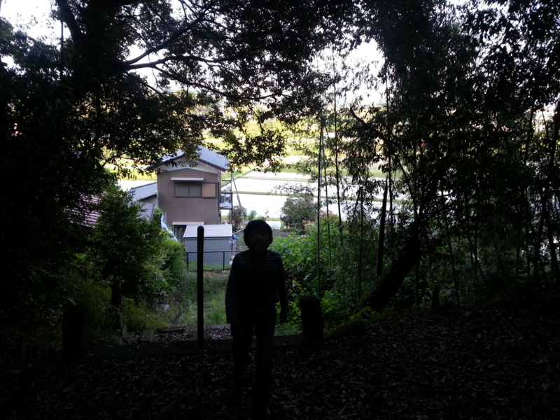 f:id:massneko:20140510173205j:plain