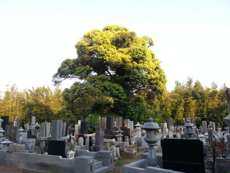 f:id:massneko:20140510173608j:plain