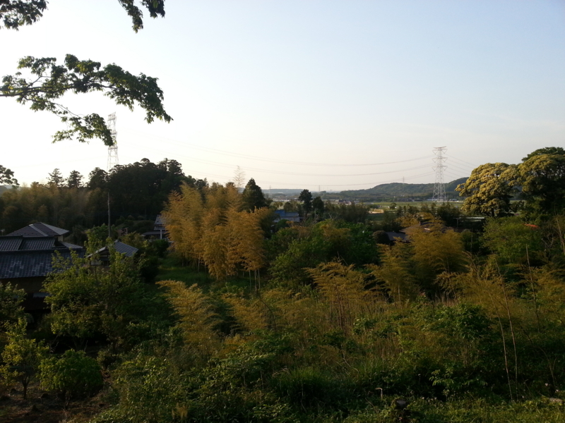 f:id:massneko:20140510174054j:plain