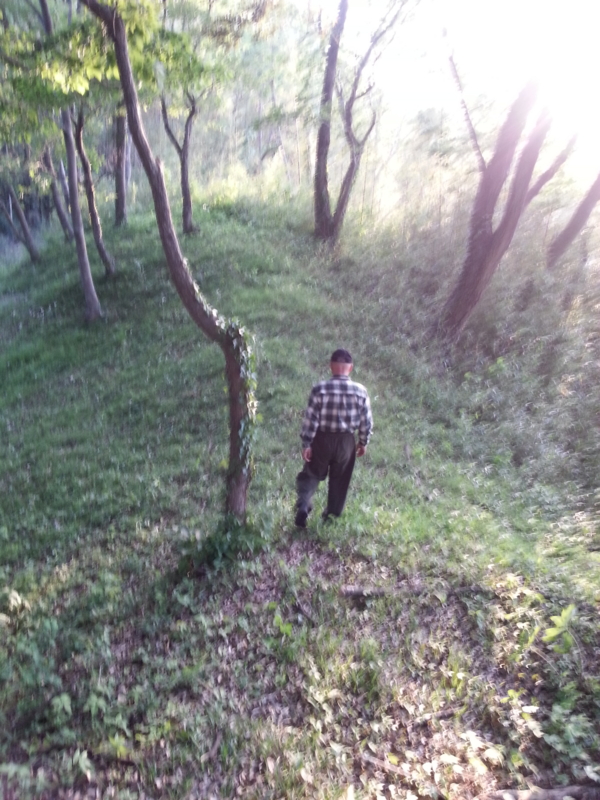 f:id:massneko:20140510175057j:plain