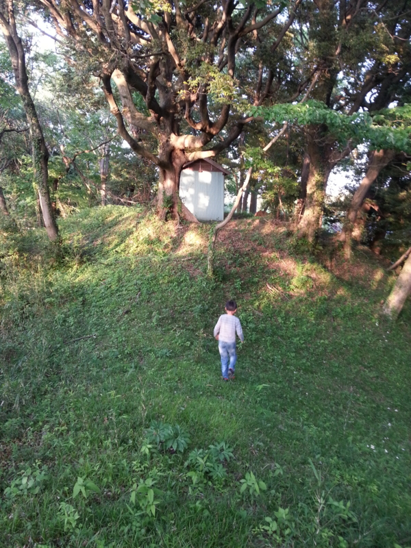 f:id:massneko:20140510175114j:plain
