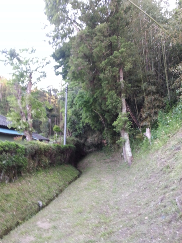 f:id:massneko:20140510180419j:plain