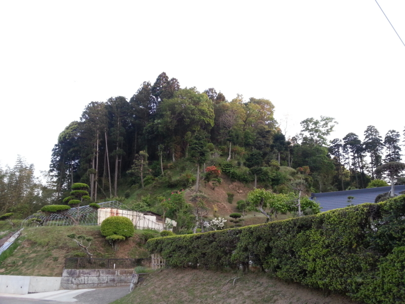 f:id:massneko:20140510180617j:plain